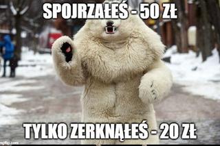 Najlepsze memy z białym misiem z Krupówek!
