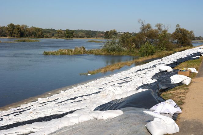 Walka z powodzią NA ŻYWO. Fala kulminacyjna przechodzi przez województwo lubuskie 