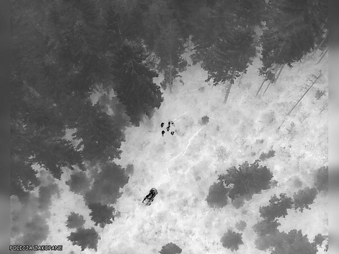 Tragiczny finał poszukiwań grzybiarza w Zakopanem