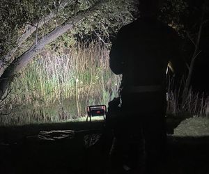 Nie żyje drugi łabędź z Chorzowa. Miasto chce zamontować w okolicy stawu kamerę monitoringu