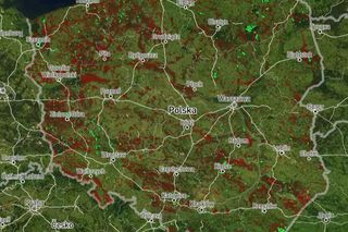 Mapa wycinki lasów 2025 - woj. zachodniopomorskie