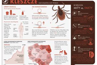 Kleszcze przenoszą boreliozę i kleszczowe zapalnie opon mózgowych