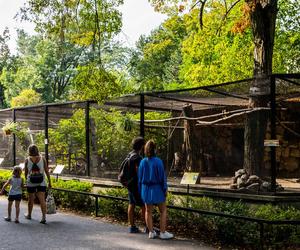 Miejski Ogród Zoologiczny w Warszawie