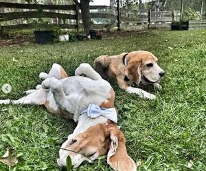 Karolina Nolbrzak i Włodzimierz Matuszak