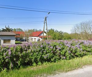 Najniżej położona miejscowość w regionie kujawsko-pomorskim. To urokliwe miejsce, które trzeba odwiedzić [GALERIA]