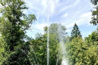 Fontanna w Parku Zdrojowym