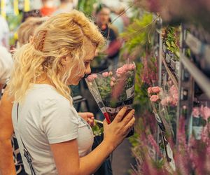 W Lesznie odbędzie się Festiwal Roślin 