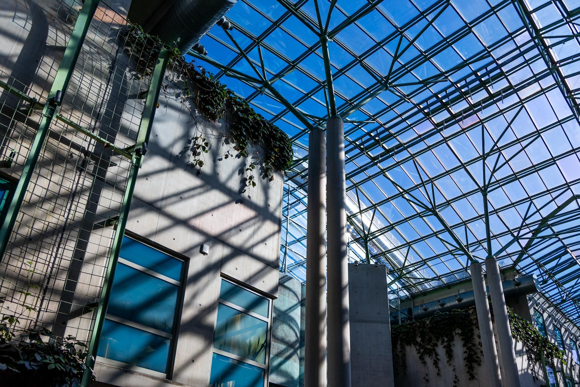 Biblioteka Uniwersytetu Warszawskiego