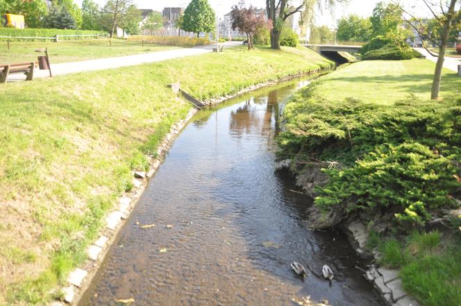 Bulwary nad Silnicą