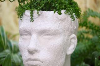 Doniczka w kształcie głowy