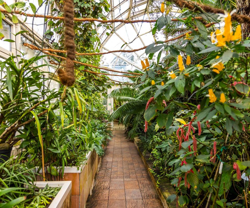 Ogród botaniczny w Warszawie
