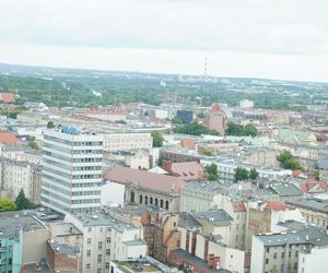 Otwarcie tarasu widokowego Collegium Altum 