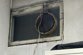 Mysz na komisariacie