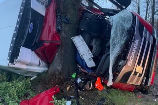 TIR wbił się w przydrożne drzewo! Z kabiny została miazga