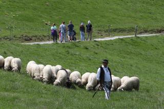 Tłumy w Tatrach. Słoneczna pogoda przyciągnęła turystów na szlaki
