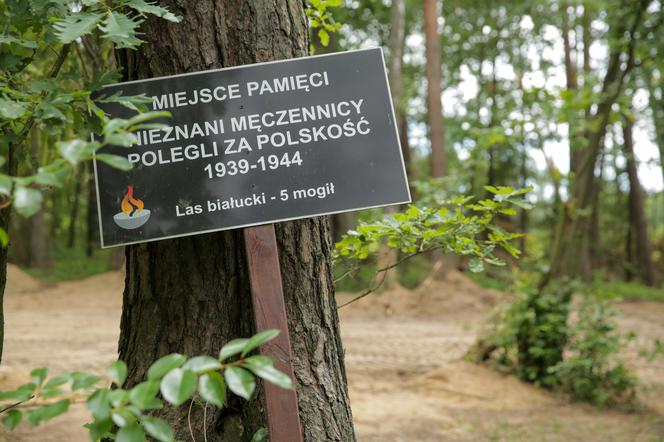 Masowe groby z prochami ofiar KL Soldau. Przerażające odkrycie w lesie białuckim! [ZDJĘCIA]