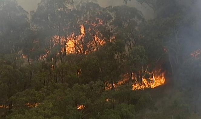Australia w ogniu.