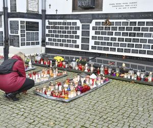 Gwiazdy kwestują na Powązkach