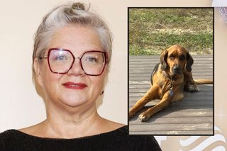 Dorota Zawadzka po latach opieki oddaje psa: „To koszmar, z którego nie umiemy wyjść”