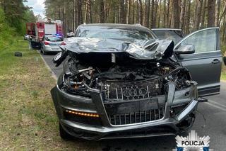 Kierowca audi potrącił łosia. Pechowe zderzenie zakończyło się śmiercią