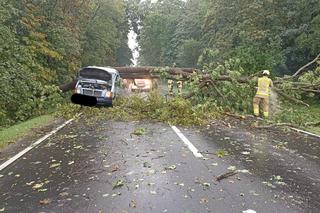 Gwałtowna burza nad Dolnym Śląskiem. Gradobicie, ulewa i mnóstwo zniszczeń