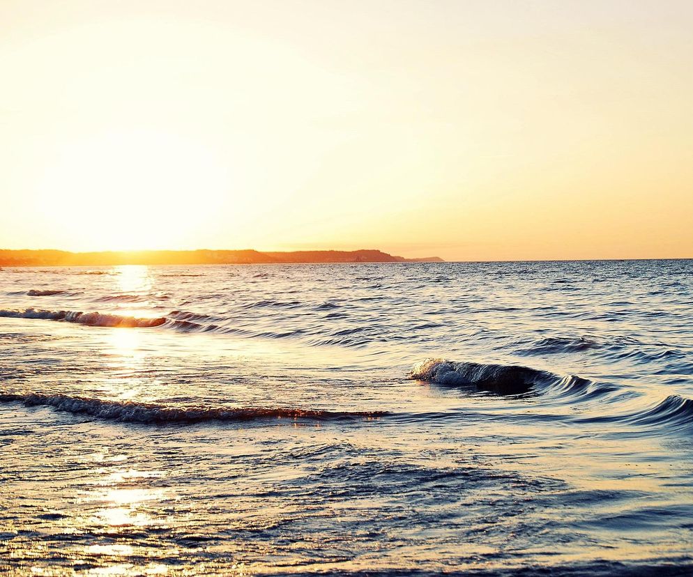 Ciało wieloryba ze Świnoujścia ponownie widziane. Tym razem na plaży w Wisełce