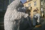 Białe niedźwiedzie na 3 Maja w Rzeszowie
