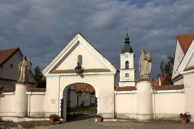 Wigierski Park Narodowy. To bezcenny obszar podlaskiej natury