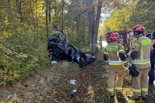 Śmiertelny wypadek pod Polkowicami. Nie żyje kierowca audi [ZDJĘCIA]