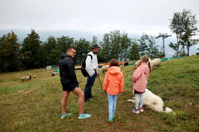 V Dzień Pasterski na Hali Skrzyczeńskiej w Szczyrku