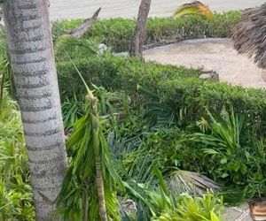 Michał Żebrowski pokazał oko cyklonu! Potworne zniszczenia po Melissie