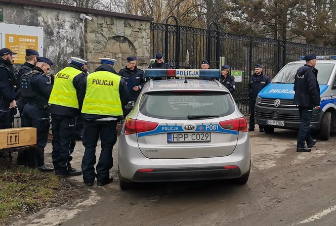 Ucieczka pantery śnieżnej z zoo w Chorzowie. Zdjęcia z akcji poszukiwawczej