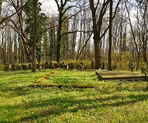 Cmentarz poewangelicki w Osiecznej 