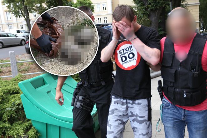 Zielona Góra. Seryjny morderca jeży Przemysław P. znowu zatrzymany przez policję
