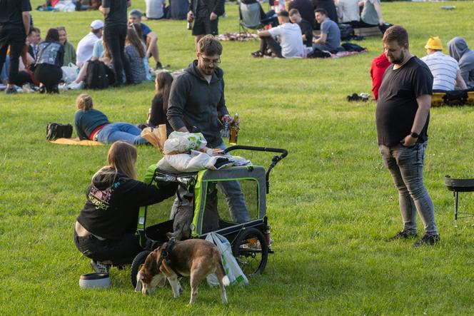 IGRY 2023 Gliwice. Wielkie święto studentów