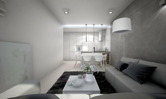 Projekt salonu beton na ścianie