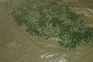 Tarnowscy policjanci zatrzymali 31-latka z dużą ilością narkotyków