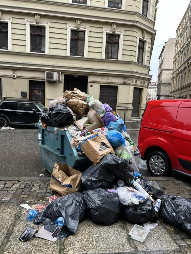 Raj dla szczurów w centrum Wrocławia. Z pięknej ulicy zrobiło się śmierdzące wysypisko śmieci 