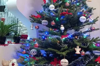 Choinki naszych Czytelników. Taki klimat tylko w woj. lubelskim!