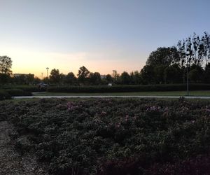 Niebawem ruszy budowa tężni solankowej w Łomży. Znamy szczegóły!