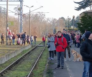 W oczekiwaniu na pociąg w Ciechocinku