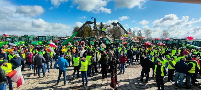 Ukrzyżowanie, bałwany i setki ciągników. Tak wyglądał protest rolniczy [ZDJĘCIA]