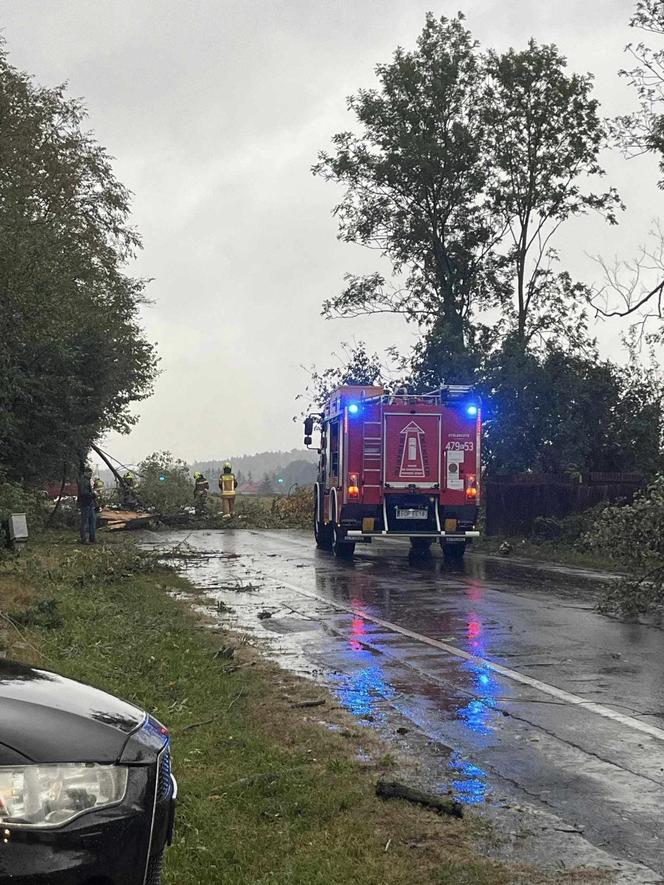 Trąba powietrzna w Łódzkiem. Zniszczenia w gminie Poświętne