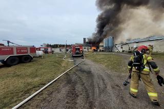 Straż Pożarna z Gorzowa podsumowała akcję gaśniczą pożaru niedaleko miasta