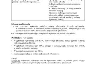 Matura 2019 z biologii [ARKUSZE CKE, ODPOWIEDZI]