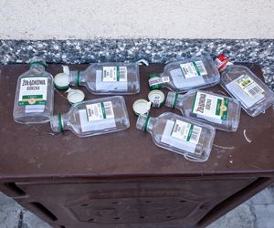 W tych miastach małpki sprzedają się najlepiej. Zaskakujący liderzy zestawienia