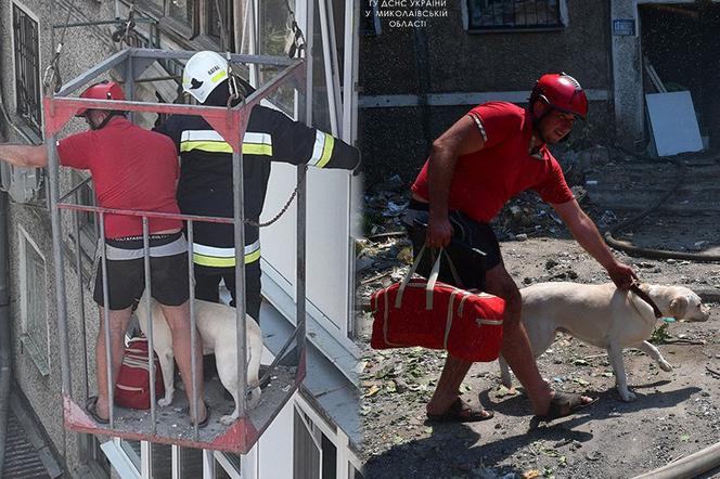  Pies uwięziony w budynku zniszczonym przez Rosjan. Finał akcji wyciskał łzy z oczu