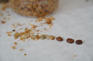 Szczecińscy naukowcy opatentowali sposób na zagospodarowanie łusek po paleniu kawy