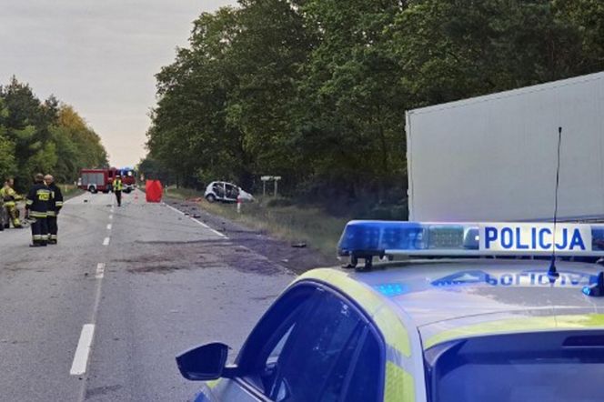 Śmiertelny wypadek na DK 12 pod Piotrkowem Tryb. Kierujący chevroletem wjechał pod tira [ZDJĘCIA]