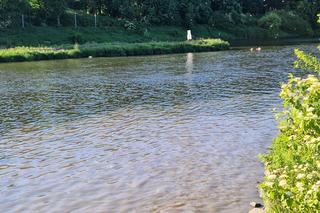 Ogromny zrzut ścieków do Wisły. Rzeką znów płynęły nieczystości 